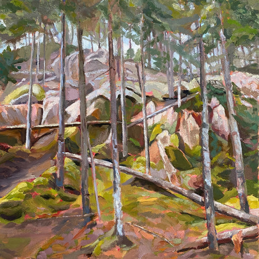 Beech Mountain, Moss and Sun, 15" x 15"