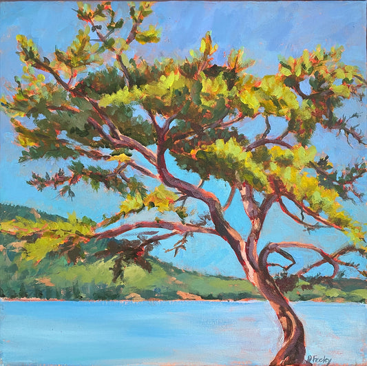 Trees of Somes Sound, 14" x 14" Framed, Acrylic on canvas.