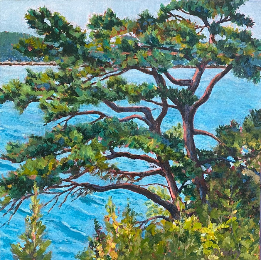 Trees of Somes Sound 2